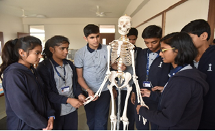 The Iconic School in Bhopal